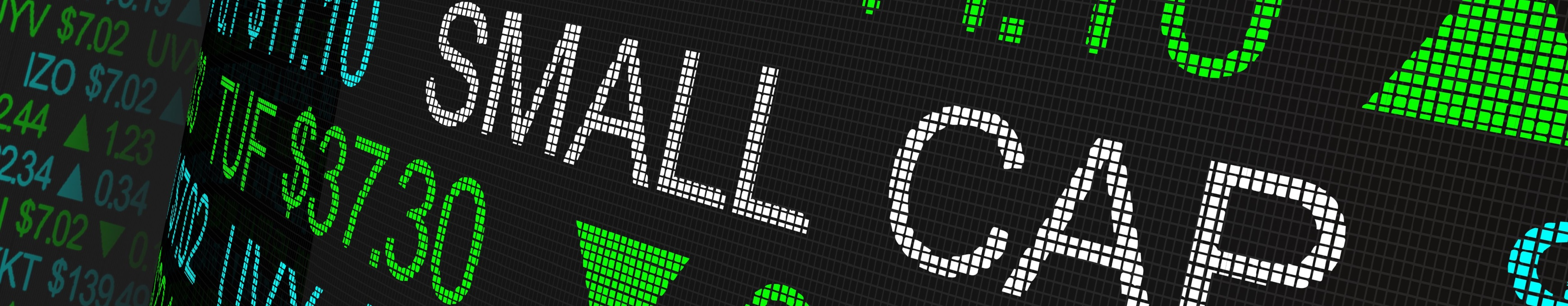 SmallCap Discovery Hero