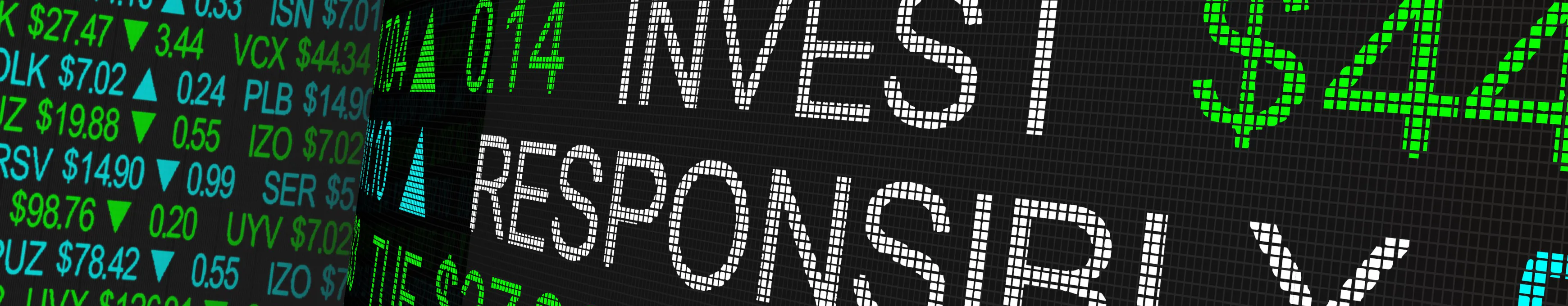 SmallCap Discovery Privacy Hero